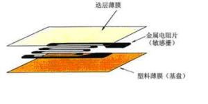 电阻应变片的基本结构